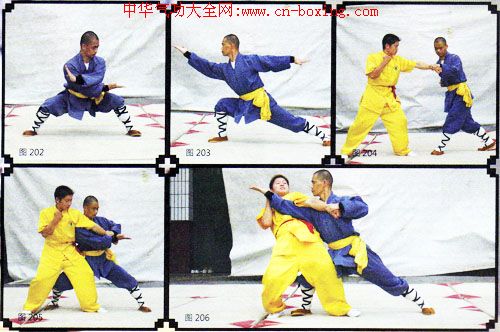 ����ȭ������ʮ��ʽ���£�-����