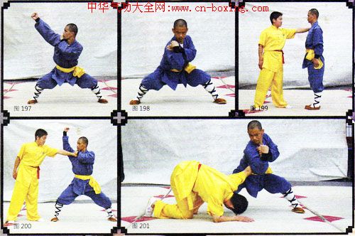 ����ȭ������ʮ��ʽ���£�-����