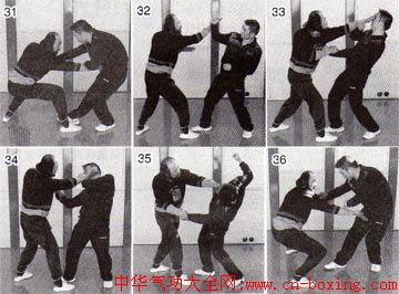 ����ͨ��������-�Ա���