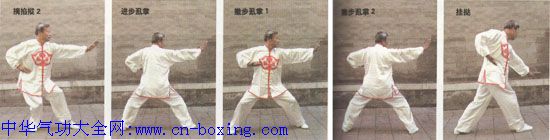 ������ϰ˼�ȭ����ͼ˵-Ԭ����