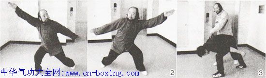 ����ͨ��ȭ��ս������-�Ա���