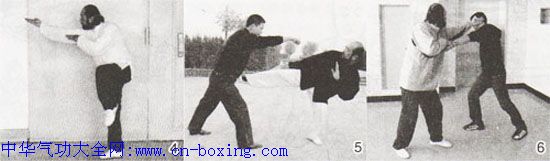 ����ͨ��ȭ��ս������-�Ա���