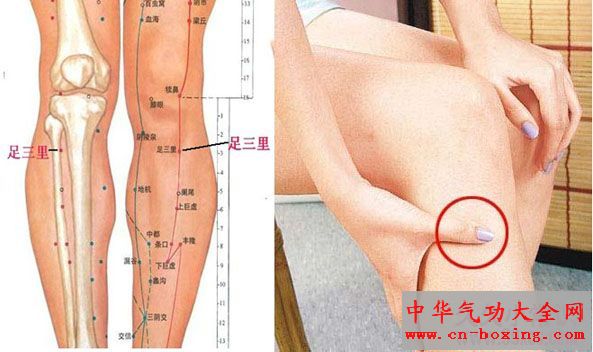 足三里穴:疏肝保健的养生大穴