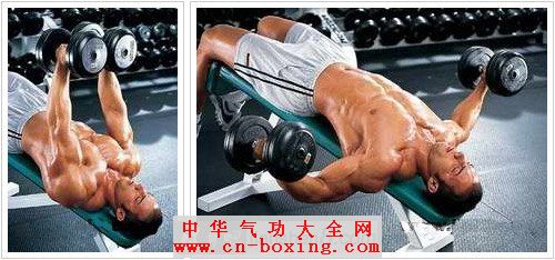 胸部锻炼常见疑问解答!