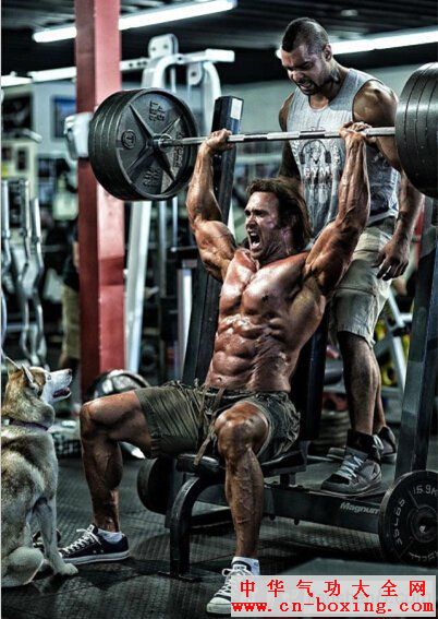 ��ǿ�̼�:���������Ϣ�ĳ�����ѵ��