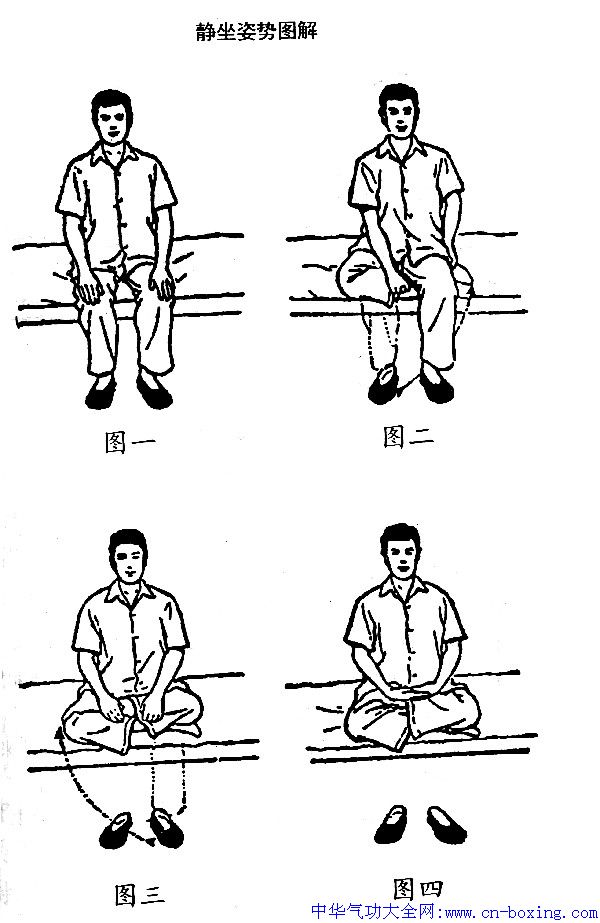 ���������š� ���־��ʿ�� - ɳ������Ҷ - ��Ҷ���Ĳ���