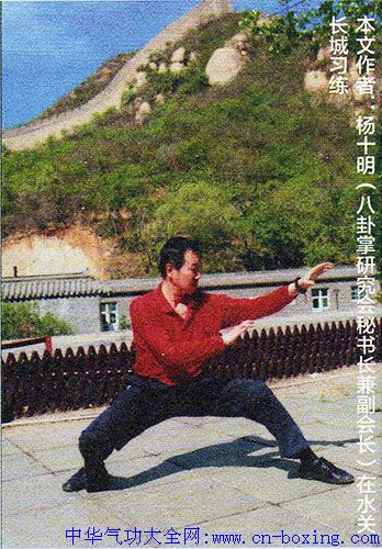 ��ʽ�����Ƶ��ٰ�ʽ-��ʮ��