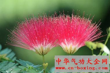 �ϻ����Ĺ�Ч������