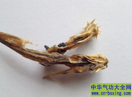 �߱޵Ĺ�Ч������