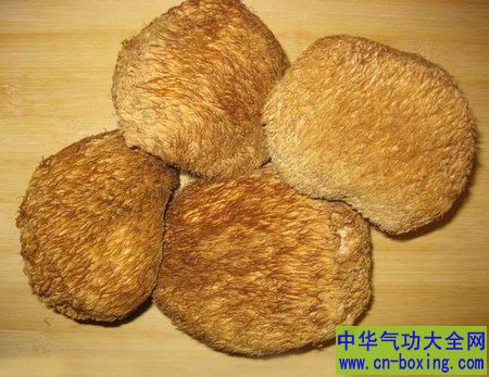 猴头菇的功效与作用