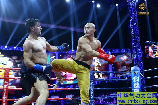 《��ʿ����ҫ》��սһ��、����、��Ӣ��、��������ͶƱ