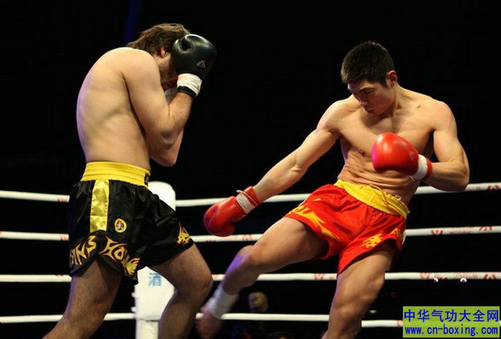 ���߷�����！《��ʿ����ҫ》����ȫ����Ҷ��