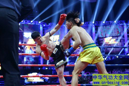 �й�������ҫ�۵Ľ�������ѡ������