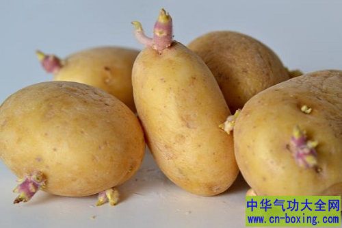 ��ѿ��������