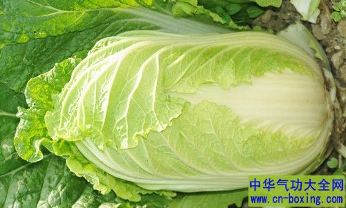 ����ʳ��������������